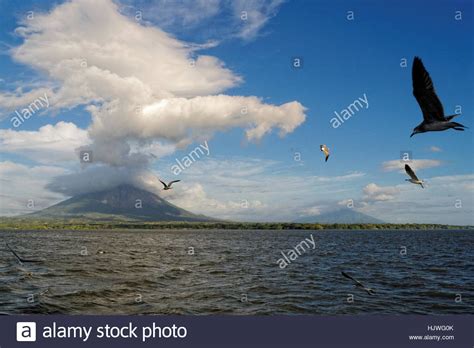 Volcanoes Of The Deep Sea Stock Photos & Volcanoes Of The ...